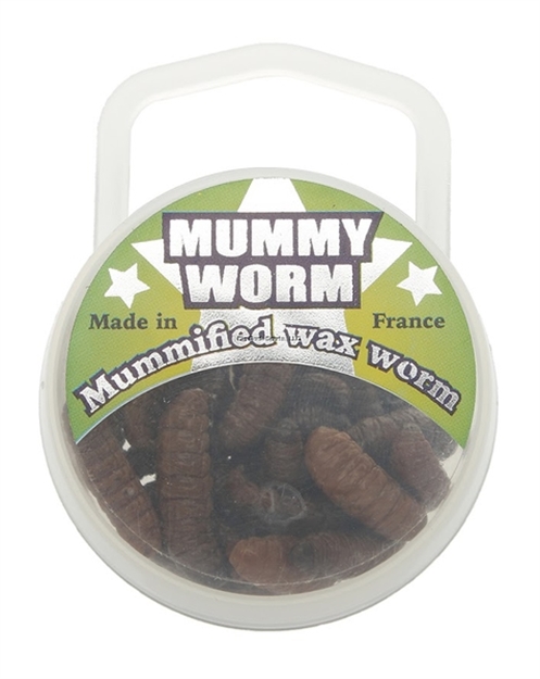 Picture of Eurotackle Mummy Worm,  Preserved Wax Worms, Brown, 35+/Pack