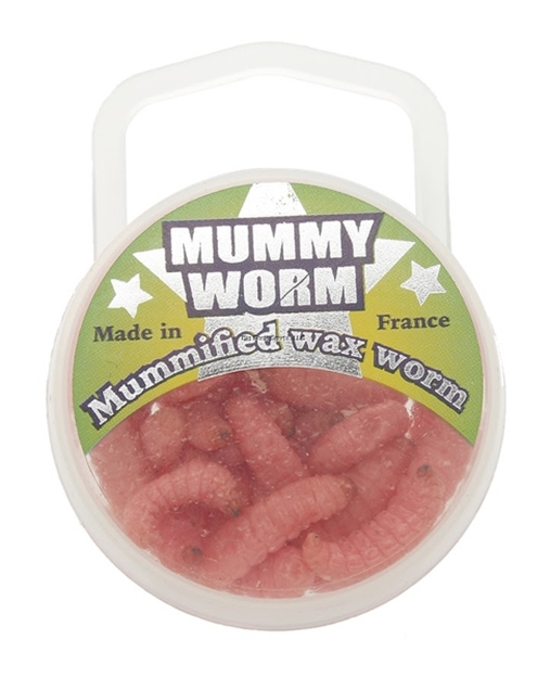 Picture of Eurotackle Mummy Worm,  Preserved Wax Worms, Pink, 35+/Pack