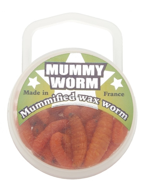 Picture of Eurotackle Mummy Worm, Preserved Wax Worms, Orange, 35+/Pack