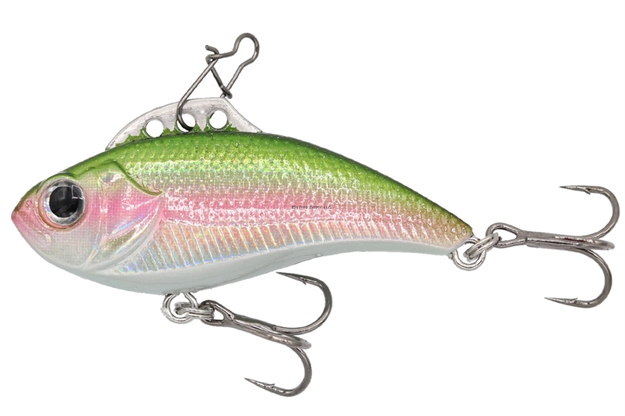 Picture of Eurotackle Z-Viber 1/8 - Rainbow Trout, Mini Lipless Crankbait, Rattle, 1.6"