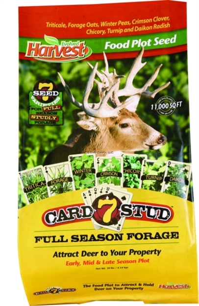 Picture of Evolved 7 Card Stud