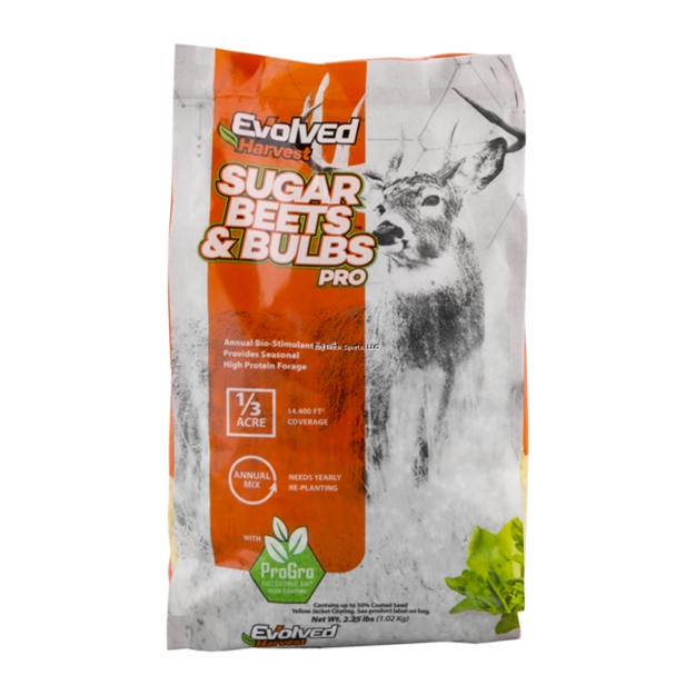 Picture of Evolved Sugar Beets And Bulbs 2Lb