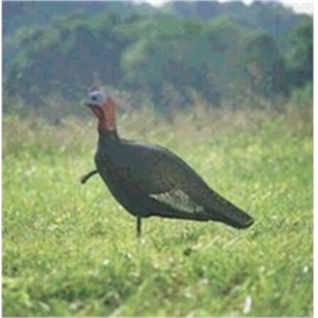 Picture of Feather Flex Aggressive Jake Turkey Decoy, Lightweight Foam, W/Stake