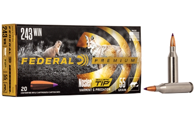 Picture of Fed Prm 243Win 55Gr Nbt 20/200