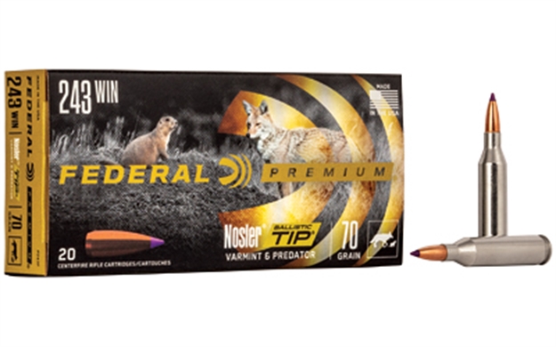 Picture of Fed Prm 243Win 70Gr Blstc Tip 20/200