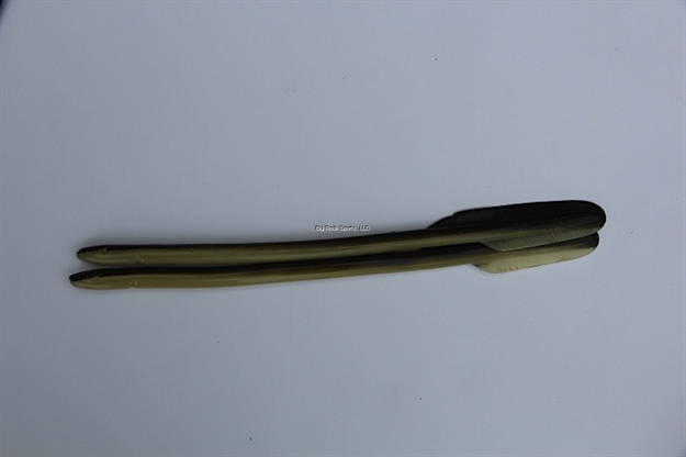Picture of Felmlee Felmlee R516-201 Eel 16" Nat Unrigged 2Cd