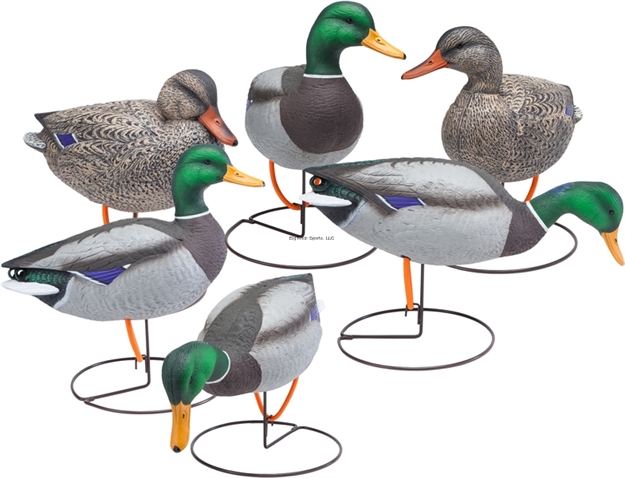 Picture of Final Approach Gunners HD Field Mallards - 6 Pack