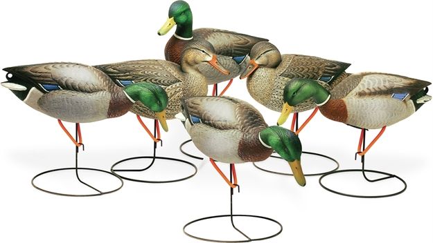 Picture of Final Approach Gunners HD Field Mallards (Flocked Heads) - 6 Pack