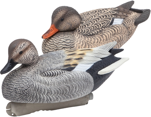 Picture of Final Approach Gunners HD Gadwall - 6 Pack