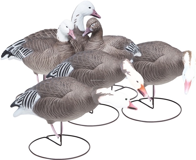 Picture of Final Approach Last Pass HD Blue Gooseoutfitters Pack-  6Pk