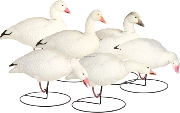 Picture of Final Approach Last Pass HD Snow Goose Outfitters Pack- 6Pk