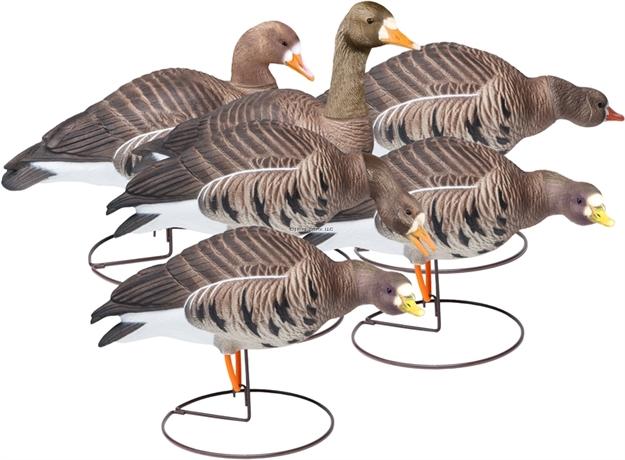 Picture of Final Approach Last Pass HD Speckle Bellies Outitters Pack - 6Pk