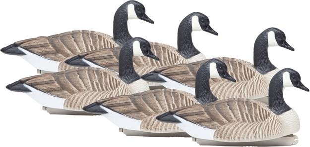 Picture of Final Approach Standard Size Honker Floating 6 Pack