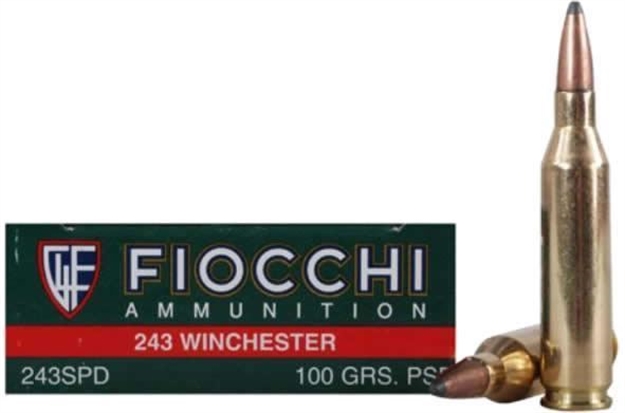 Picture of Fiocchi .243 Win Rifle Shooting Dynamics 100Gr Psp - Box OF 20