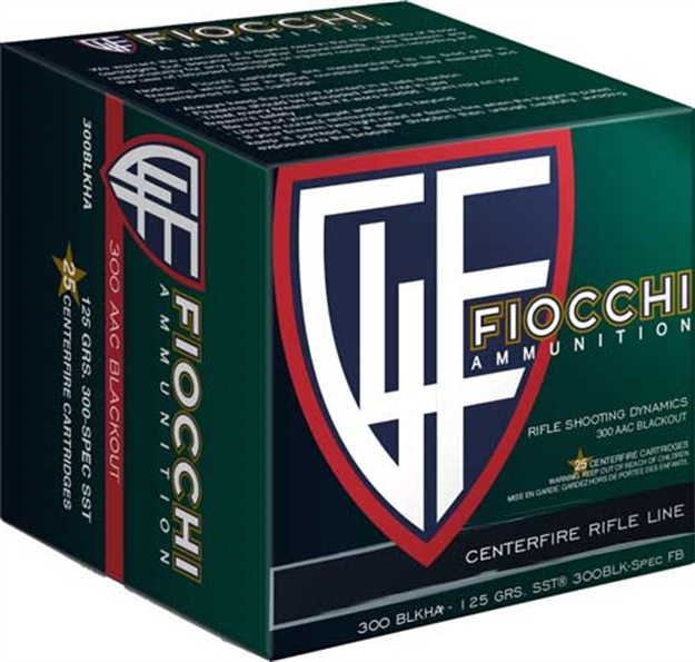 Picture of Fiocchi 300 Aac 125Gr Sst 25Rd 20Bx/Cs 300BLKHA