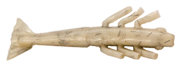 Picture of Fishbites Ffc Fightin' Shrimp Haymaker