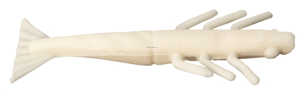 Picture of Fishbites Ffc Fightin' Shrimp White Knuckle