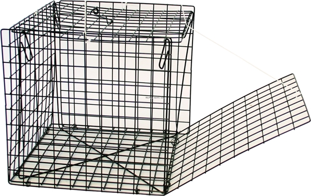 Picture of FJ Neil Crab Trap 10-1/2" Square Dolphin