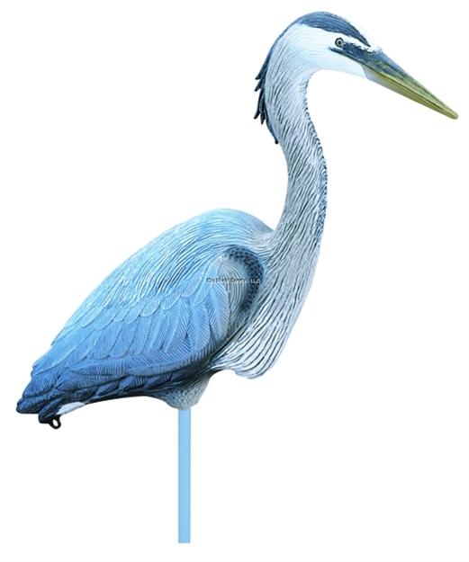 Picture of Flambeau Great Blue Heron Decoy
