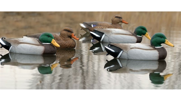 Picture of Flambeau Premium Mallard 5 Body 6Pk