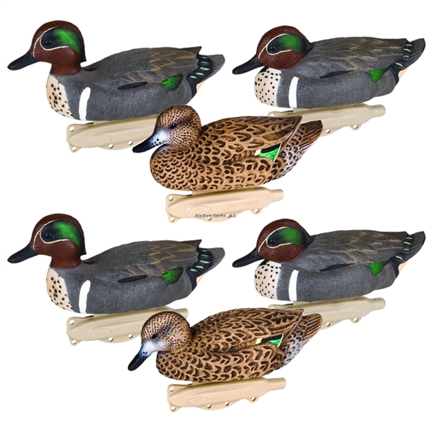 Picture of Flambeau SF Grn Wing Teal 4 Body 6Pk