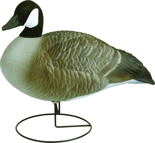 Picture of Flambeau Storm Front 2 Full Body Canada Goose Field Decoy, Flocked Head, Standard, Uvision Paint, 6 Pack