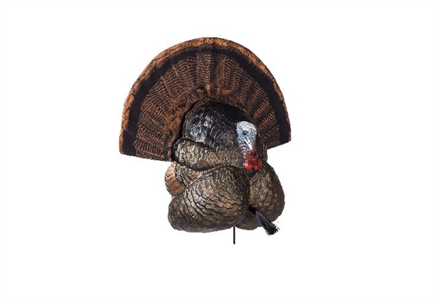 Picture of Flextone Calls Thunder Creeper Strutter Decoy W/ Folding Fan FG-DCOY-00316