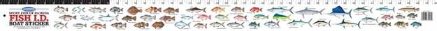 Picture of Florida Sportsman Boat Sticker Sportfish OF Florida