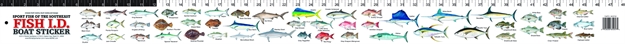 Picture of Florida Sportsman Boat Sticker Sportfish OF The Southeast