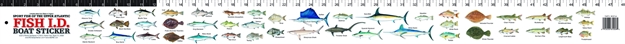 Picture of Florida Sportsman Boat Sticker Sportfish OF Upper-Atlantic