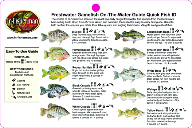 Picture of Florida Sportsman Freshwater Gamefish Quick ID Card