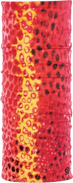 Picture of Flying Fisherman Strawberry Grouper Sunbandit