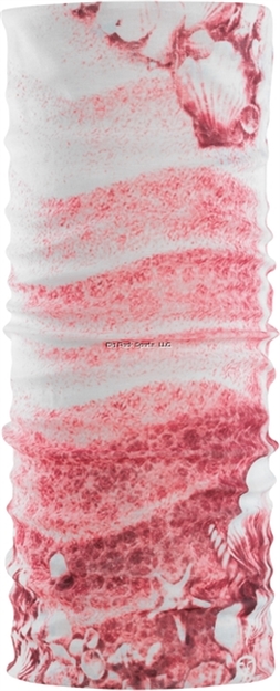 Picture of Flying Fisherman Sunbandit Sea Shells