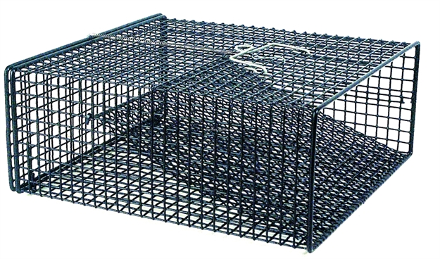 Picture of Frabill Crawfish Trap 12X12x5 Blk