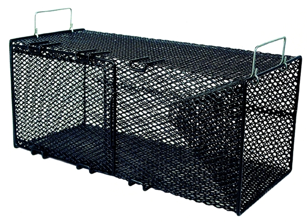 Picture of Frabill Minnow Trap Rectangular 8X8x18" 1Pc Blk