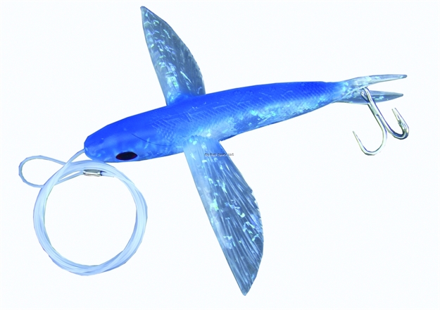 Picture of Frenzy Ballistic Flyer Rigged Flying Fish, 8", Blue