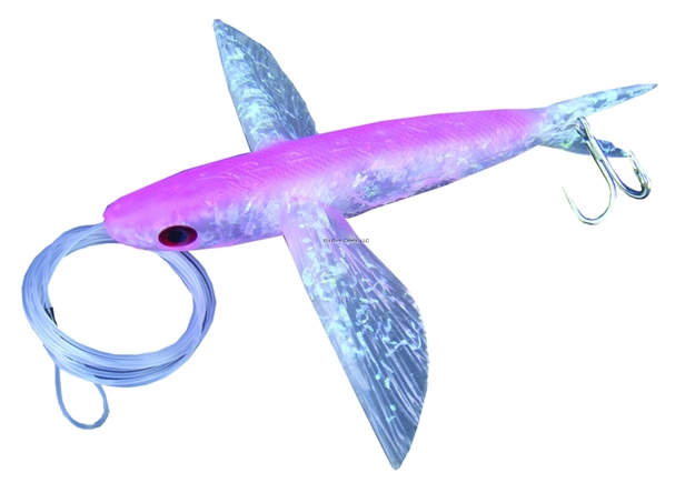 Picture of Frenzy Ballistic Flyer Rigged Flying Fish, 8", Pink