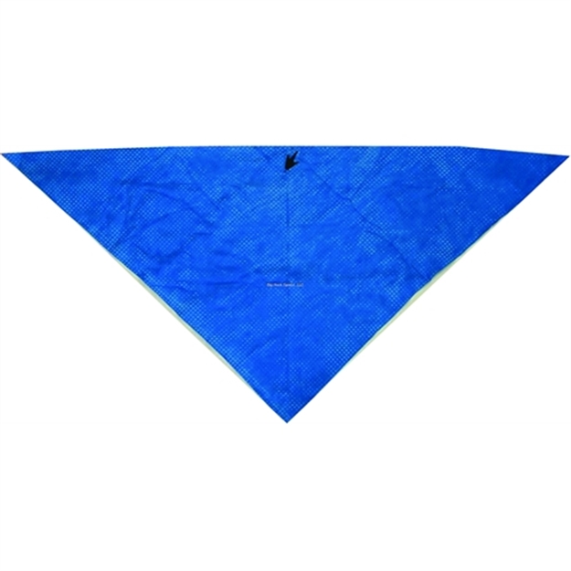 Picture of Frogg Toggs Chilly Dana Varsity Blue