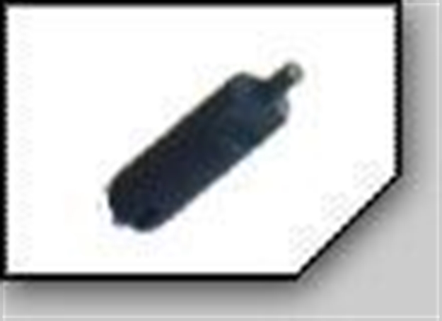 Picture of FS Post Bulg