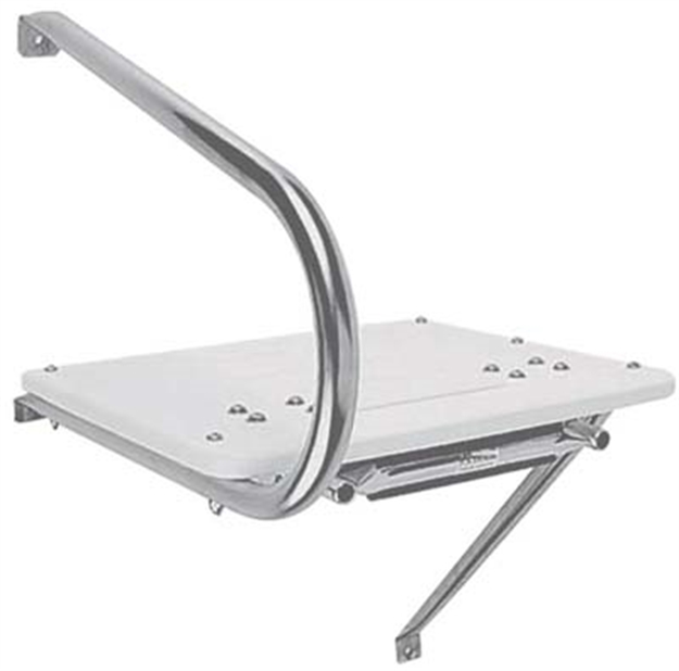 Picture of Garelick Plat Swim OB W/Ladr