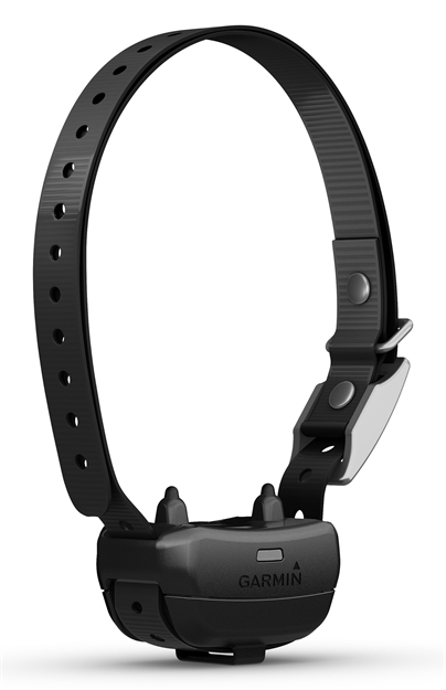 Picture of  Garmin 0100260810 Delta SE Dog Collar Black/Blue Training Collar 753759291860