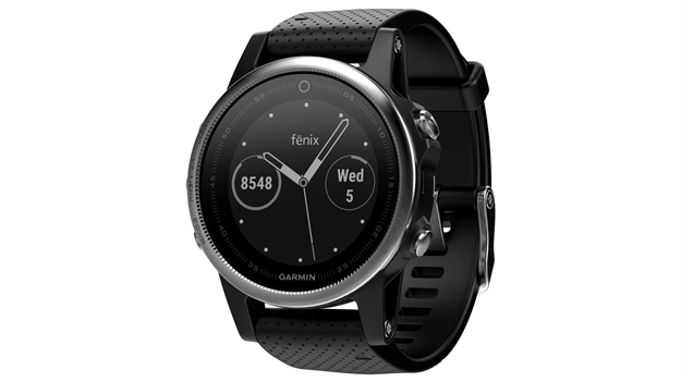Picture of Garmin Fenix 5S Silver/Black