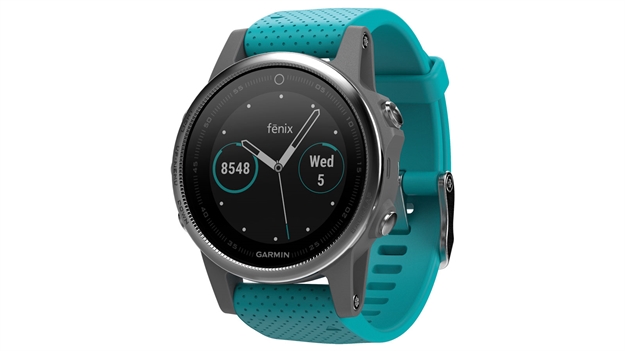 Picture of Garmin Fenix 5S Silver/Gray