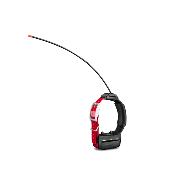 Picture of Garmin TT 15 Dog Device W/Collar