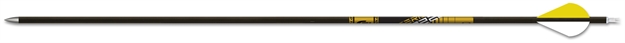 Picture of Gold Tip 22 Series Pro - New Shafts - 1Dz