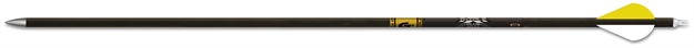 Picture of Gold Tip Triple X Plus Shafts - 1Dz