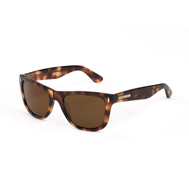 Picture of Hang Ten Gold The Wavefarer2-Brown Demi/Brown Lens