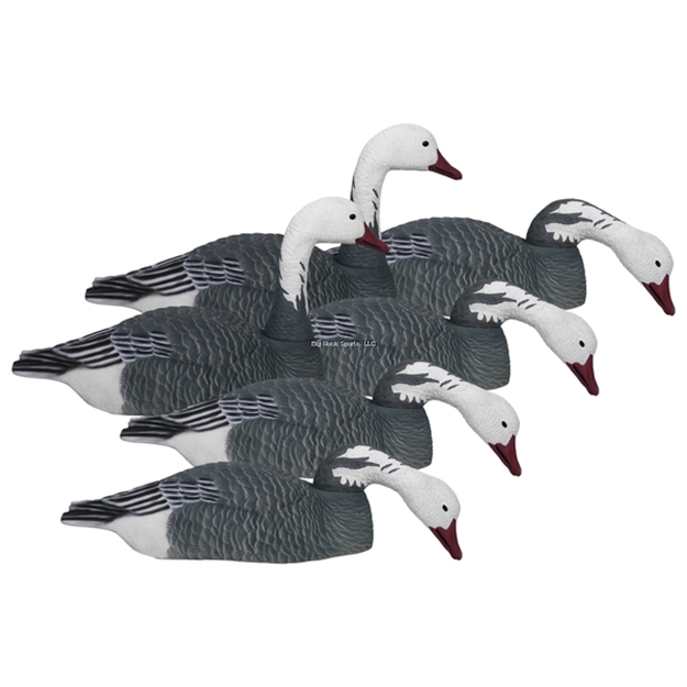 Picture of Hard Core Economy Series Blue Goose Shells - Touchdown 6Pack