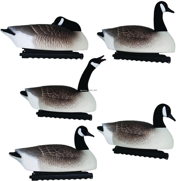 Picture of Hard Core Floating Canada Goose Touchdown 6Pk