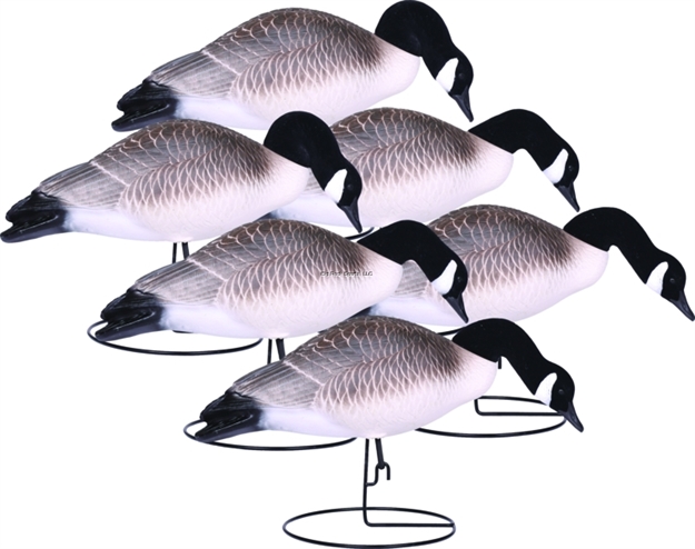 Picture of Hard Core Full Body Canada Goose Feeder 6Pk